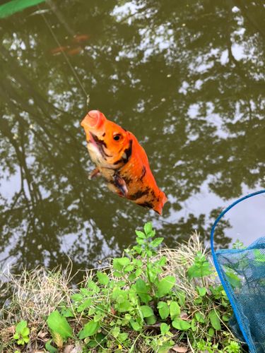 磯源フィッシングパーク