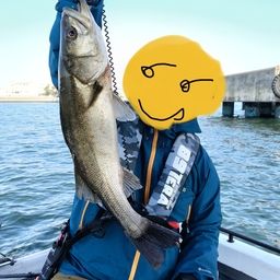 シーバス