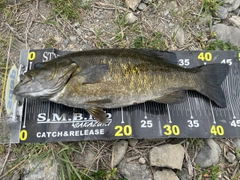 スモールマウスバスの釣果
