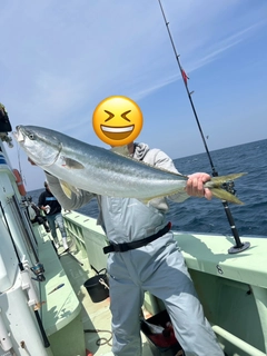 ブリの釣果