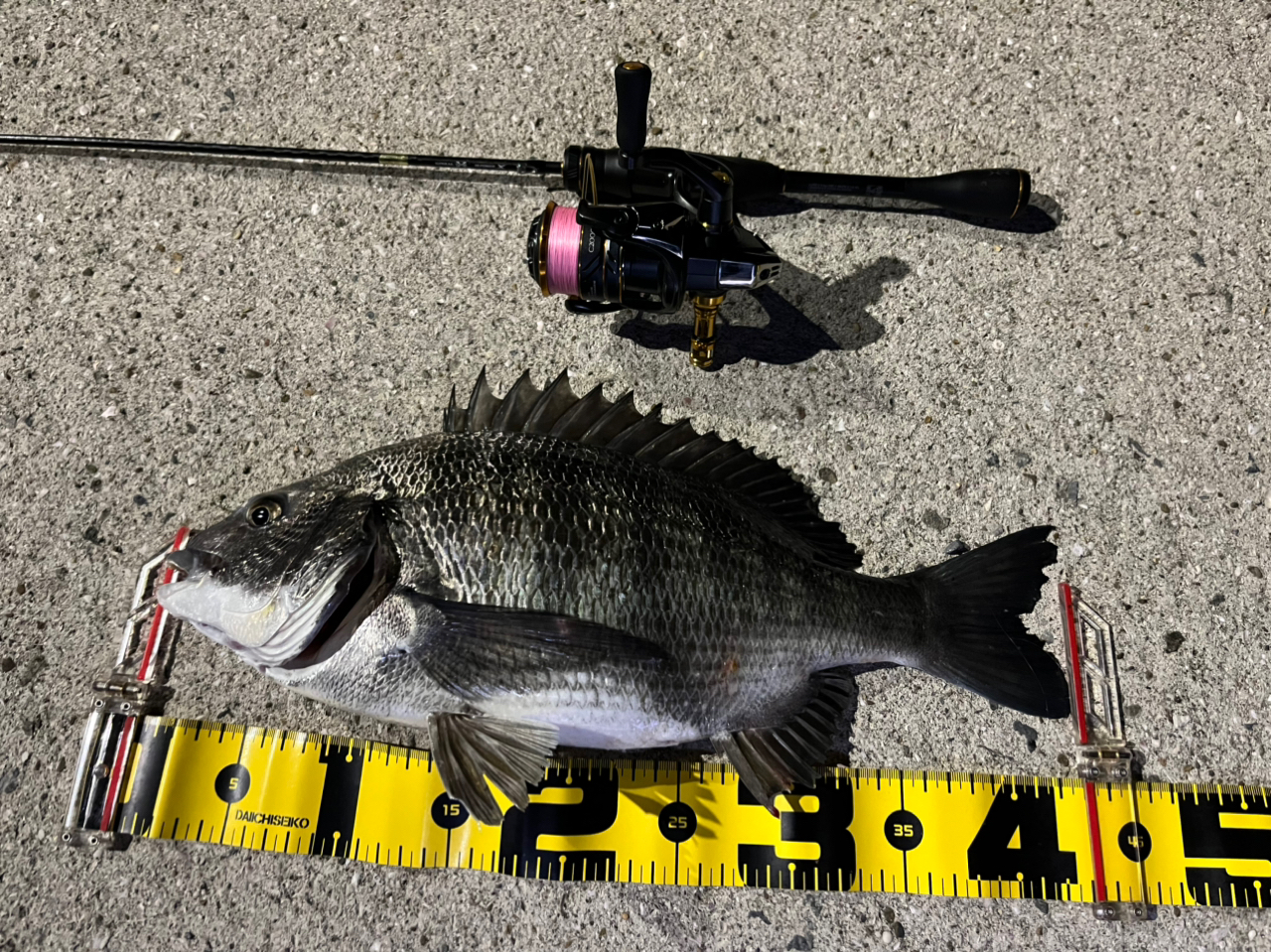 Amazon | シマノ(SHIMANO) ロッド 21 ソアレ XR S54SUL-S