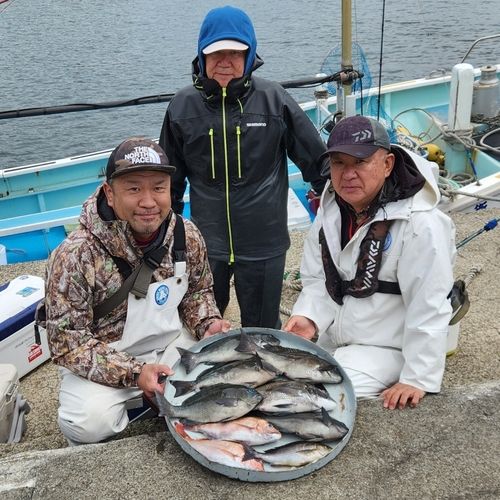 マダイの釣果