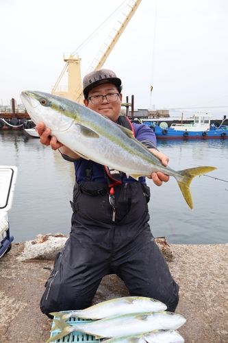 メジロの釣果
