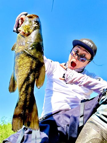 スモールマウスバスの釣果