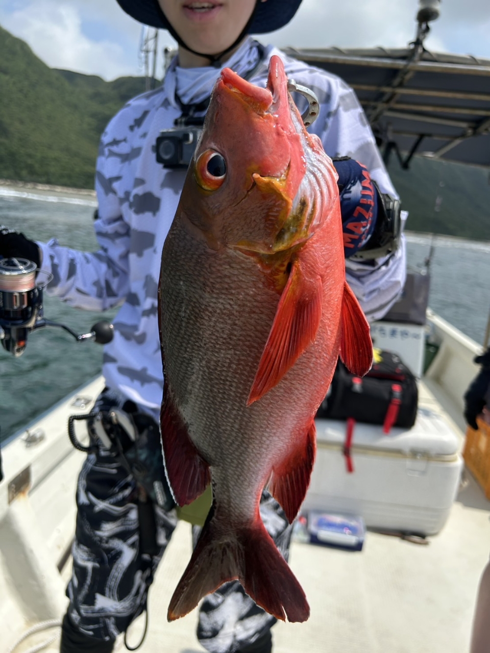 YAMAGA Blanks アーリー・フォーモバイル 76MMHの最安値 YAMAGA Blanks アーリー・フォーモバイル 76MMHの最安値