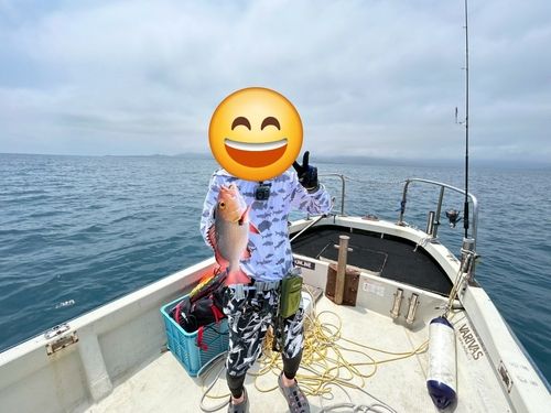 バラフエダイの釣果