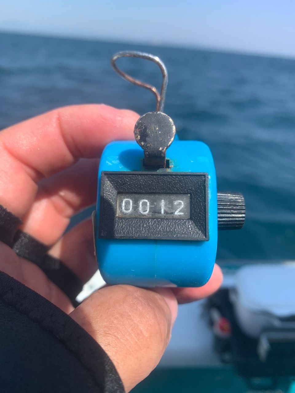 和歌山のもりもっちゃんさんの釣果 2枚目の画像