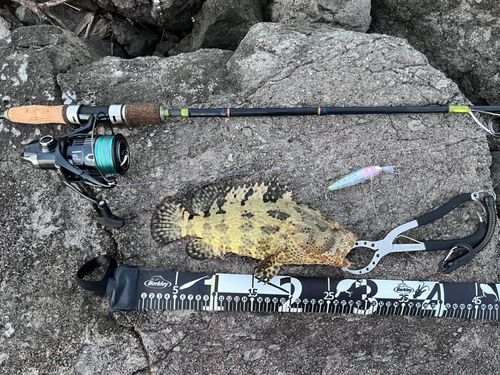 イシミーバイの釣果
