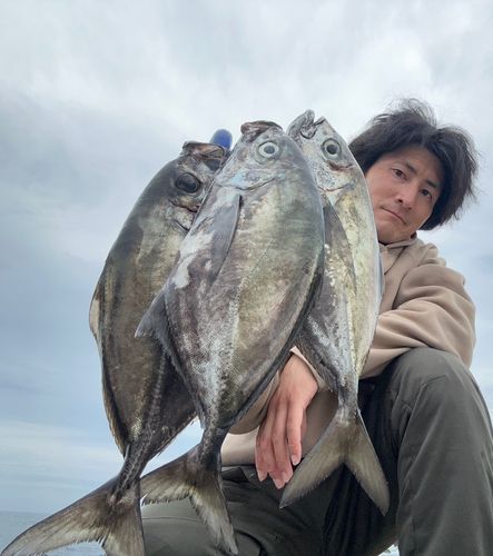 オキアジの釣果