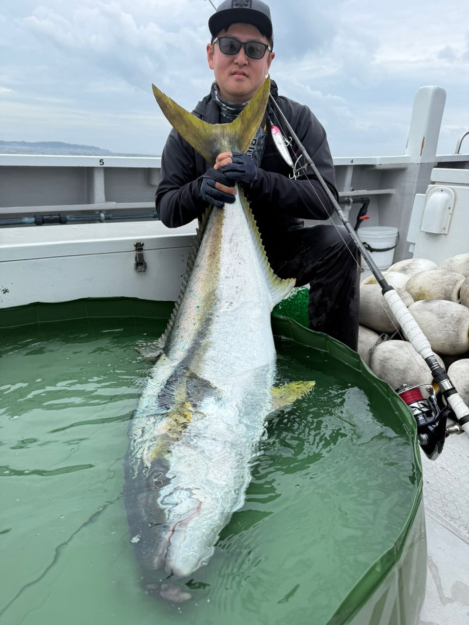 SHIMANO - ひらまさ 22AW New Product Offshore] Commentary on Ocea's special