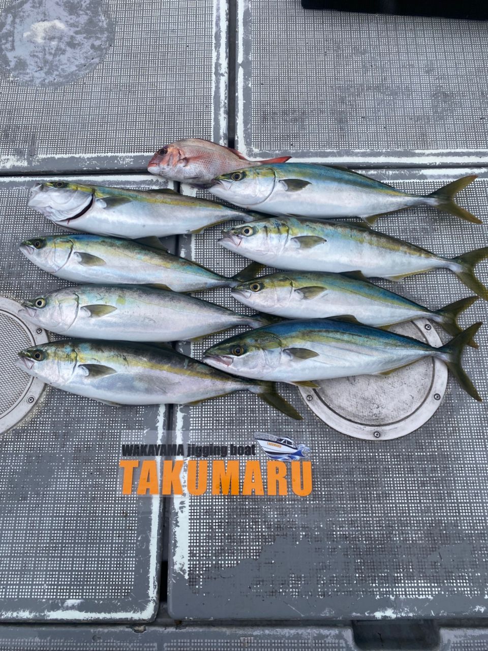 ハマチ