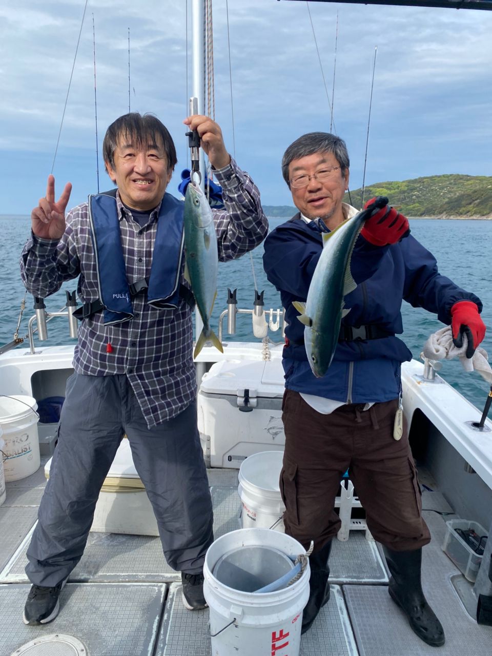 ハマチ