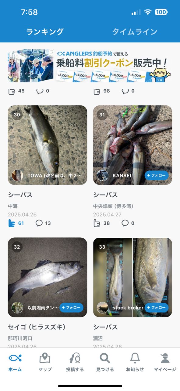 モンゴウイカ