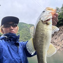ブラックバス
