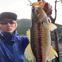 ブラックバス