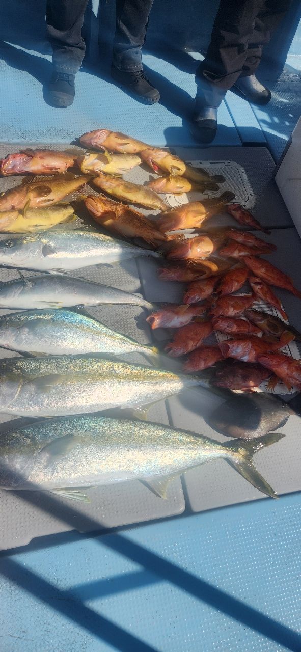 しゅうへーさんの釣果 2枚目の画像