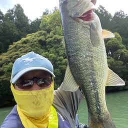 ブラックバス