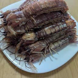 シャコ