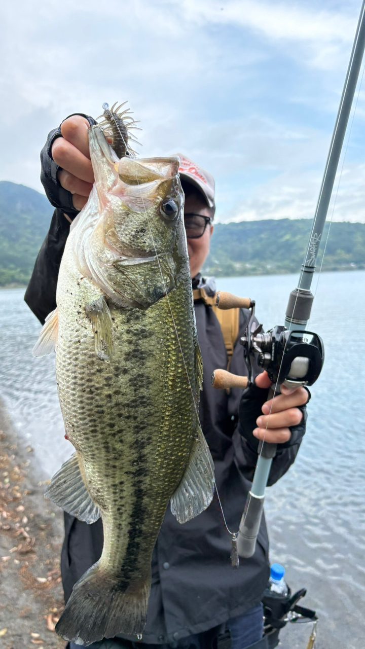 DAIWA 23スワッガー C72Hの最安値・インプレ・釣果 | 本音の DAIWA 23スワッガー C72Hの最安値・インプレ・釣果 | 本音の