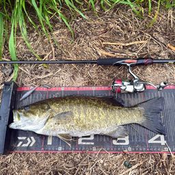 スモールマウスバス