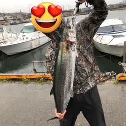 サワラ