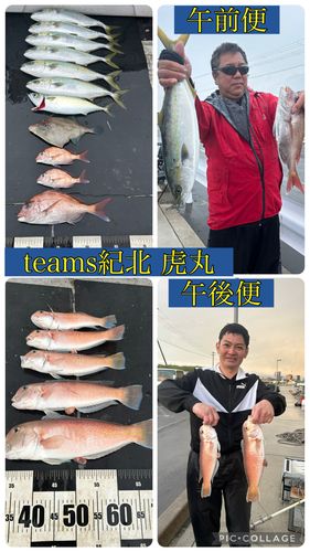 シロアマダイの釣果