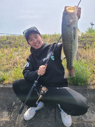 ブラックバスの釣果