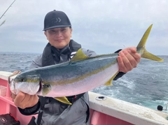ヒラマサの釣果