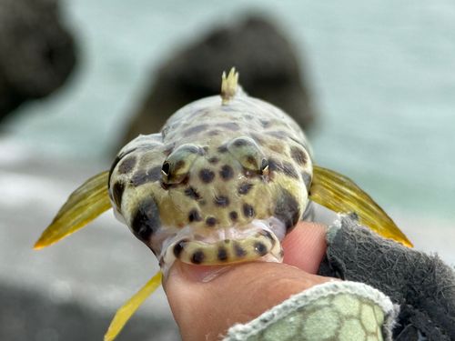 釣果