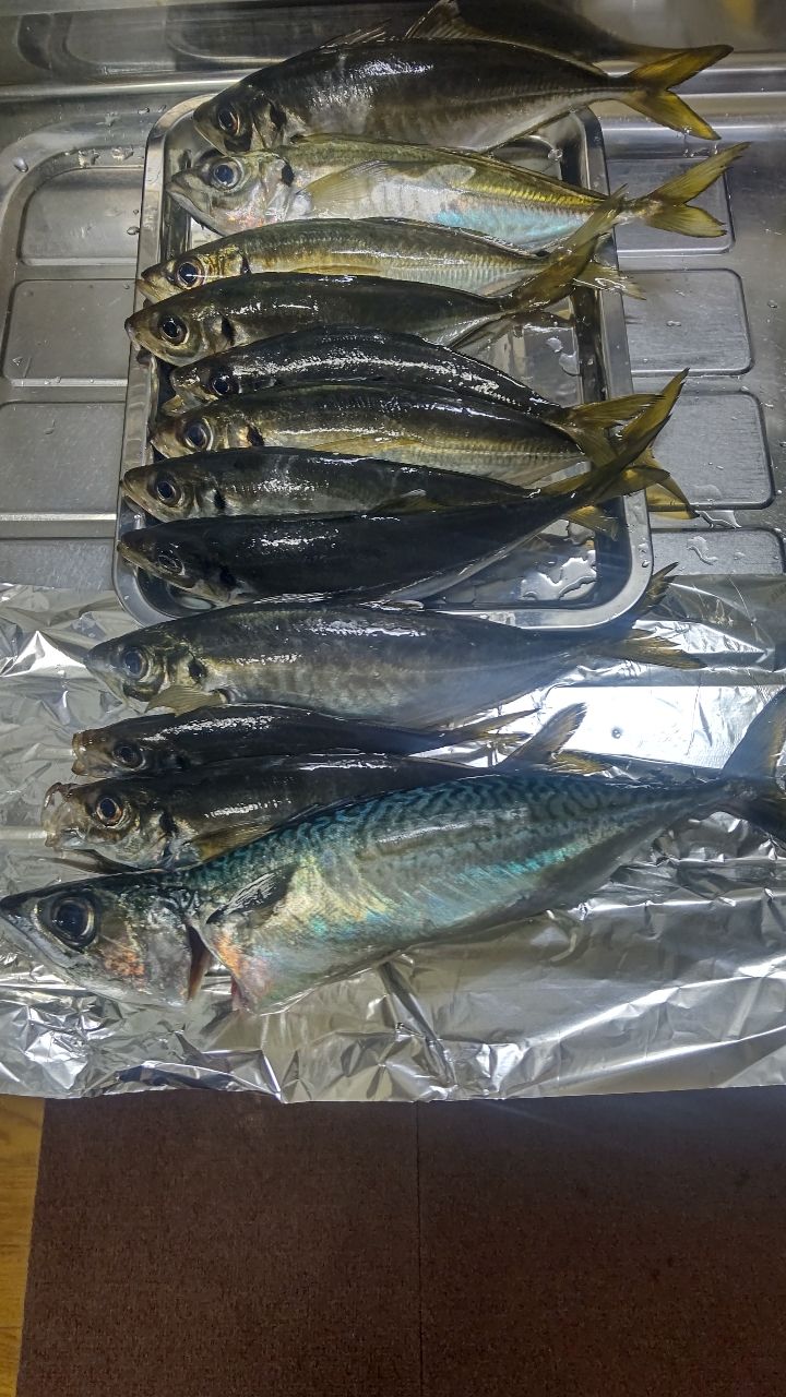 アジ