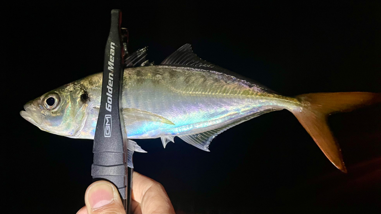 MajorCraft 鯵道 5G AD5-S682M/AJIの最安値・インプレ・釣果 MajorCraft 鯵道 5G AD5-S682M/AJIの最安値・インプレ・釣果