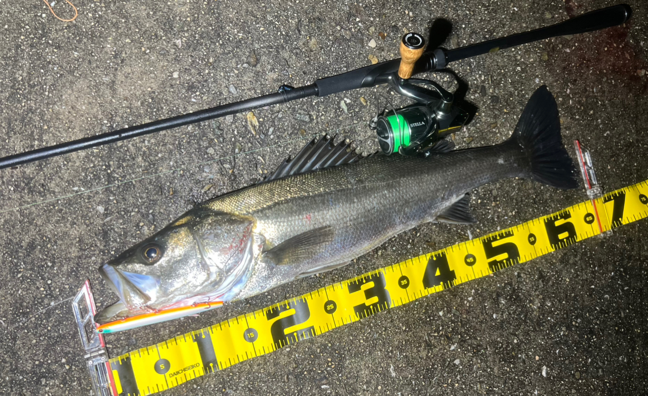 SHIMANO 23ディアルーナ S96Mの最安値・インプレ・釣果 | 本音の SHIMANO 23ディアルーナ S96Mの最安値・インプレ・釣果 | 本音の