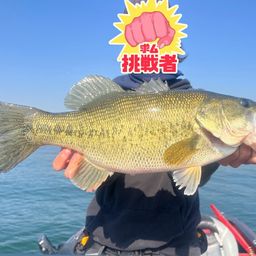 ブラックバス