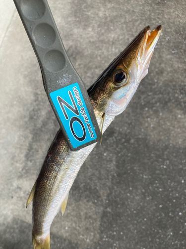 湯浅広港