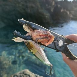 エソ