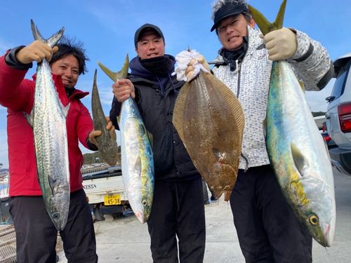 ワラサの釣果