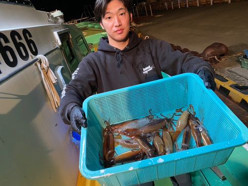 ムギイカの釣果