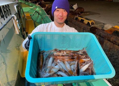 ムギイカの釣果