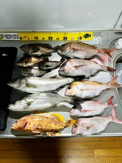 釣果