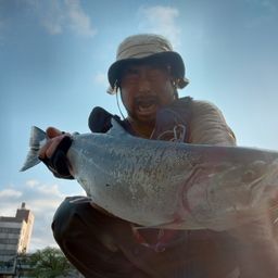 サクラマス