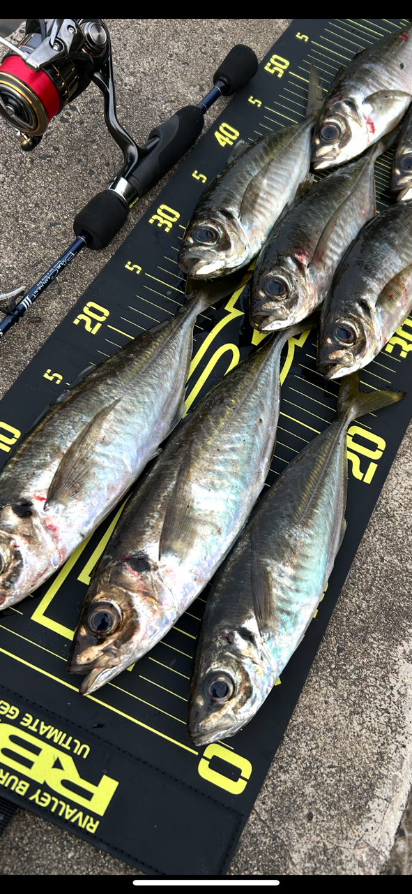 YAMAGA Blanks 20ブルーカレント 3 53の最安値・インプレ・釣果 YAMAGA Blanks 20ブルーカレント 3 53の最安値・インプレ・釣果