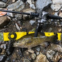 スモールマウスバス