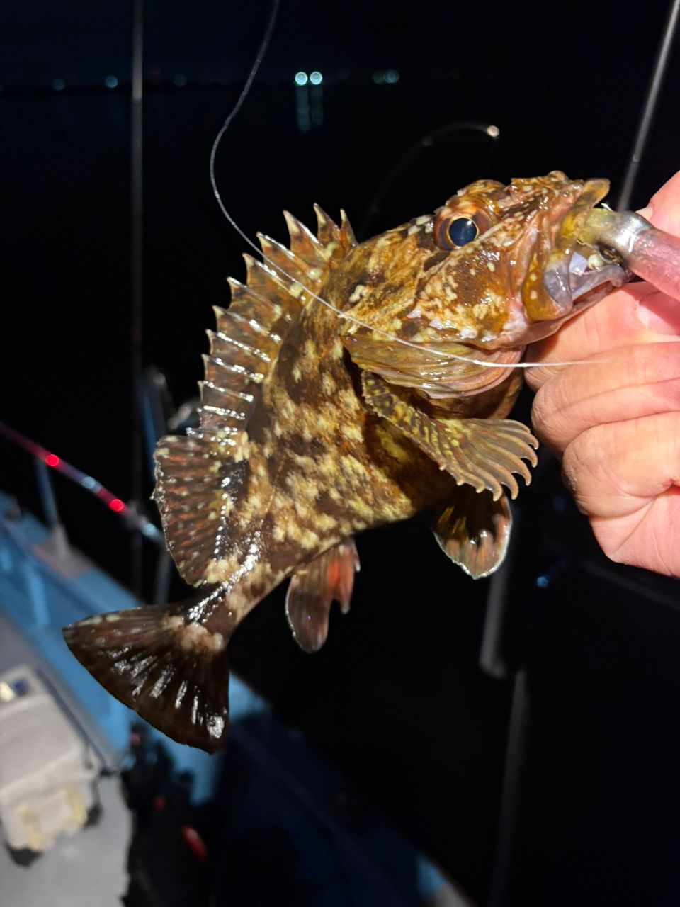 _tkgさんの釣果 2枚目の画像