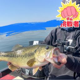 ブラックバス
