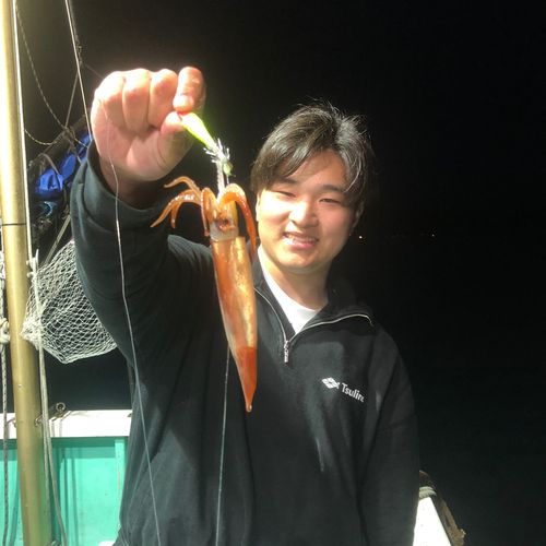 ムギイカの釣果
