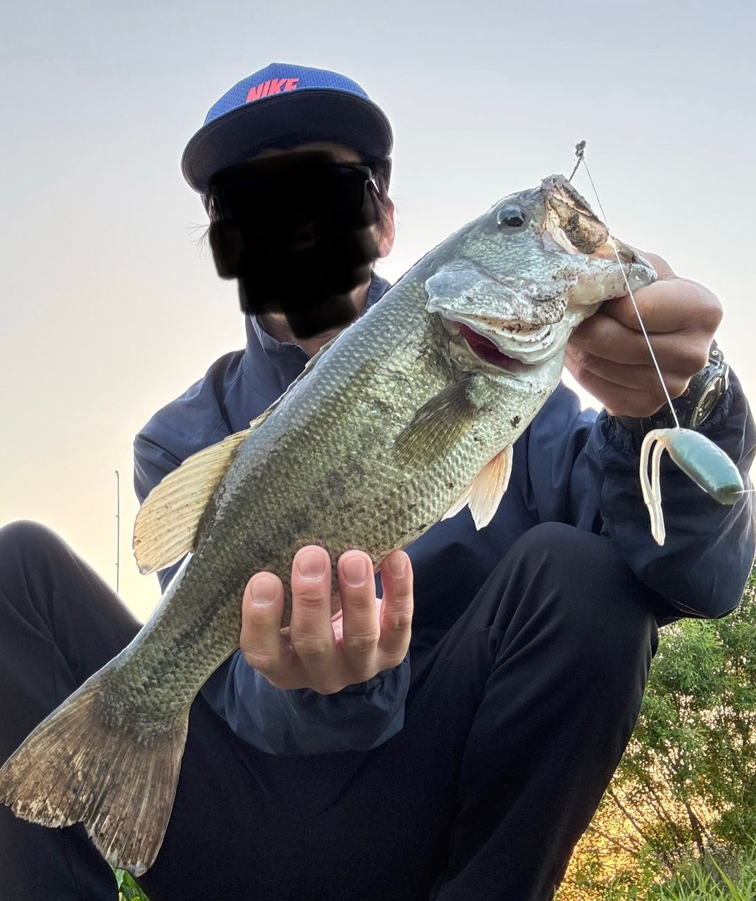 ブラックバス