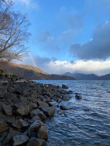 レイクトラウトの釣果