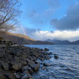 レイクトラウト