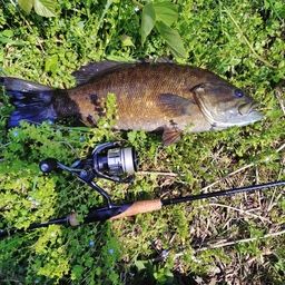 スモールマウスバス