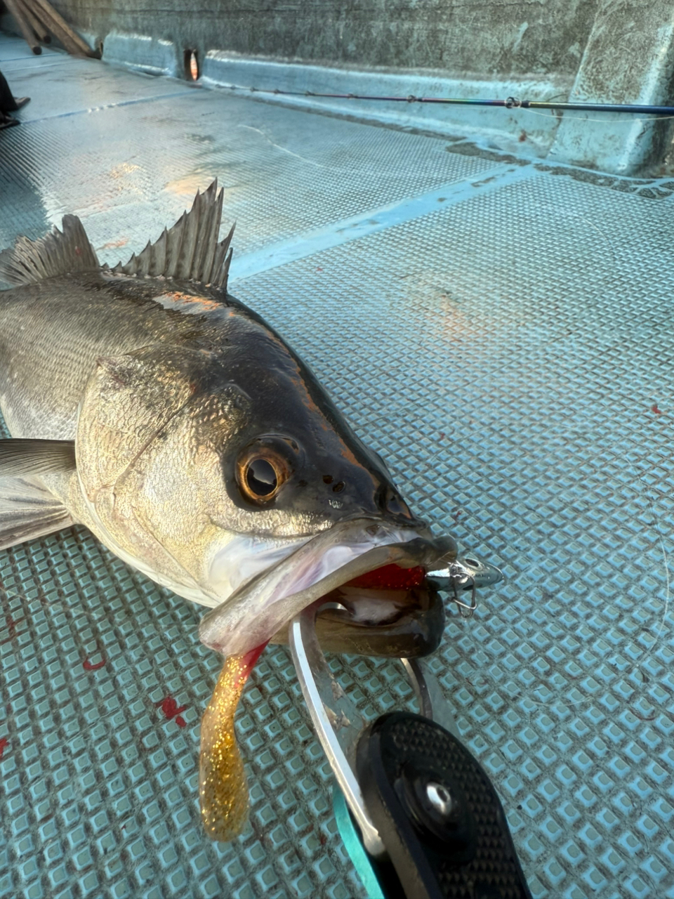 SHIMANO 23ワールドシャウラ リミテッド 1652R-3の最安値 SHIMANO 23ワールドシャウラ リミテッド 1652R-3の最安値
